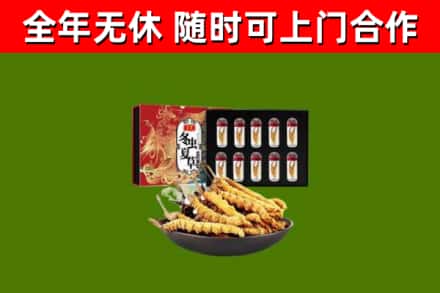 山海关烟酒回收冬虫夏草礼盒.jpg